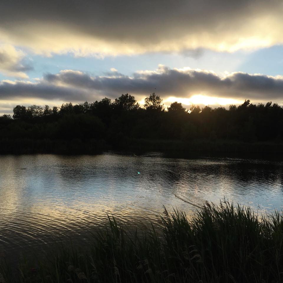 36787814_10155809828113121_5232304154134708224_n