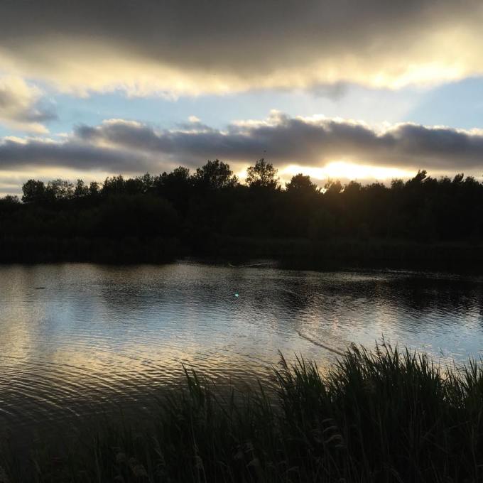 36787814_10155809828113121_5232304154134708224_n