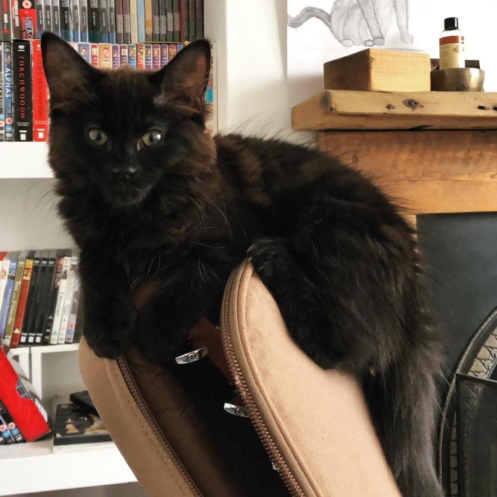 71803727_2849734585050833_1633738514958909440_o