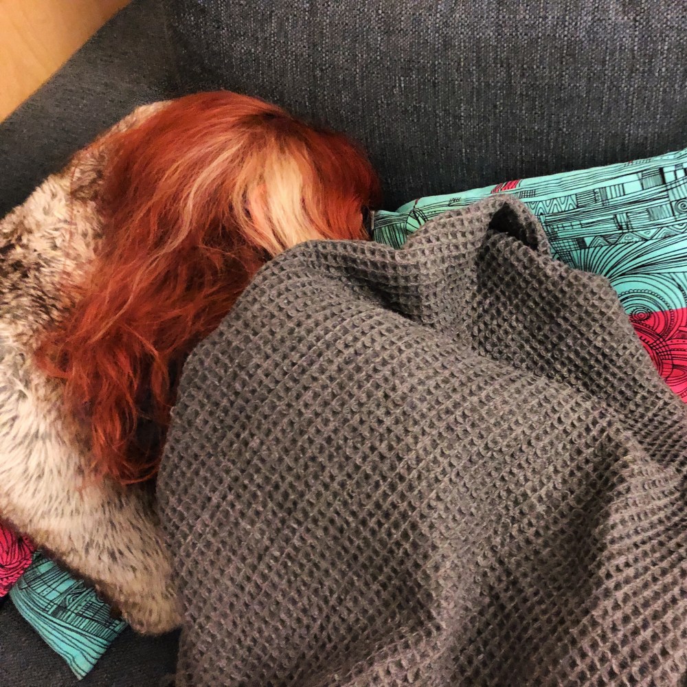 48FDA1A3-F3FA-4AC4-AB4F-A63325B7F1D1