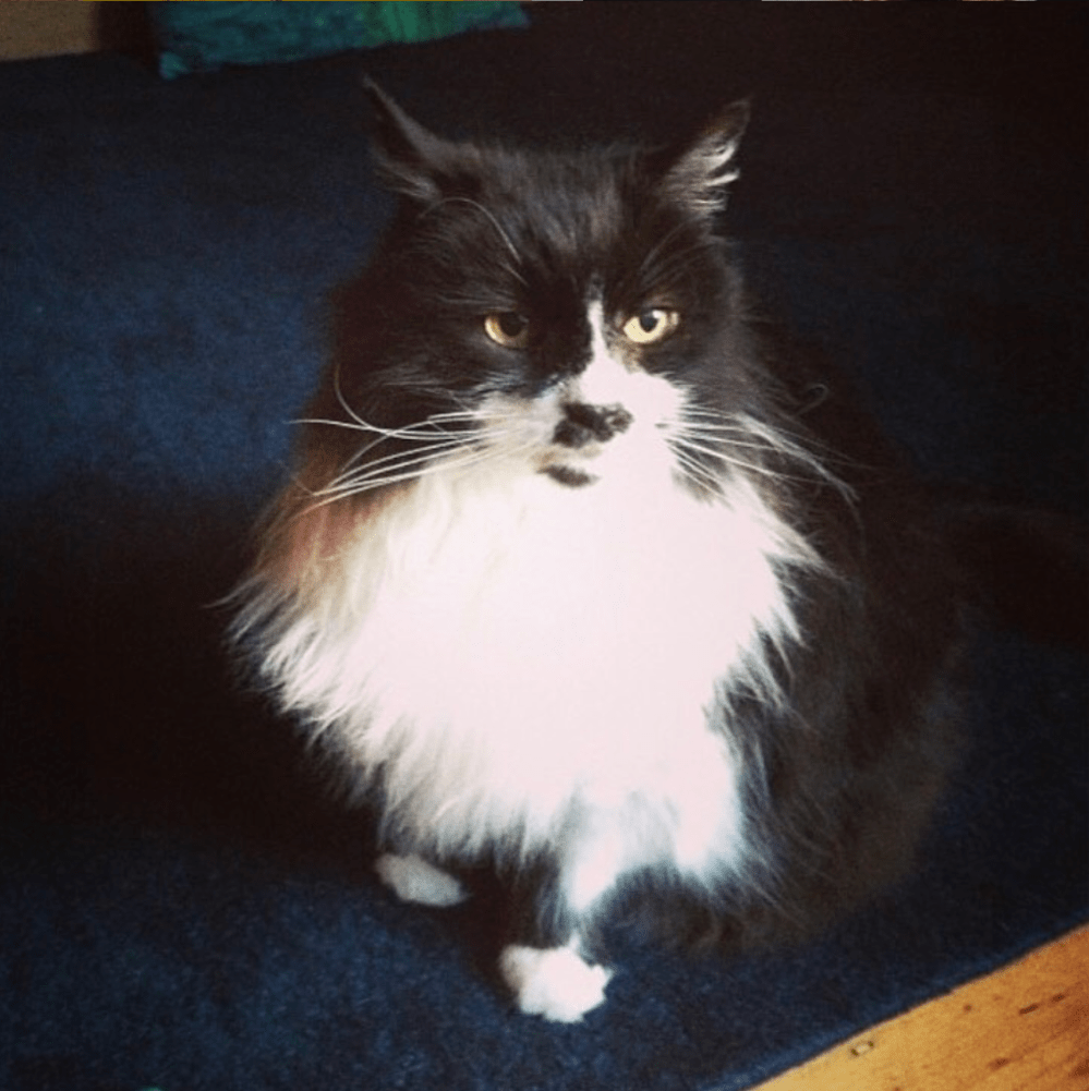 Screenshot 2020-02-10 at 13.25.47