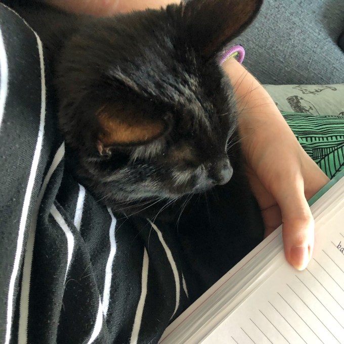 9E17E6A6-C9C3-427E-9A9E-0C59C0331A1B