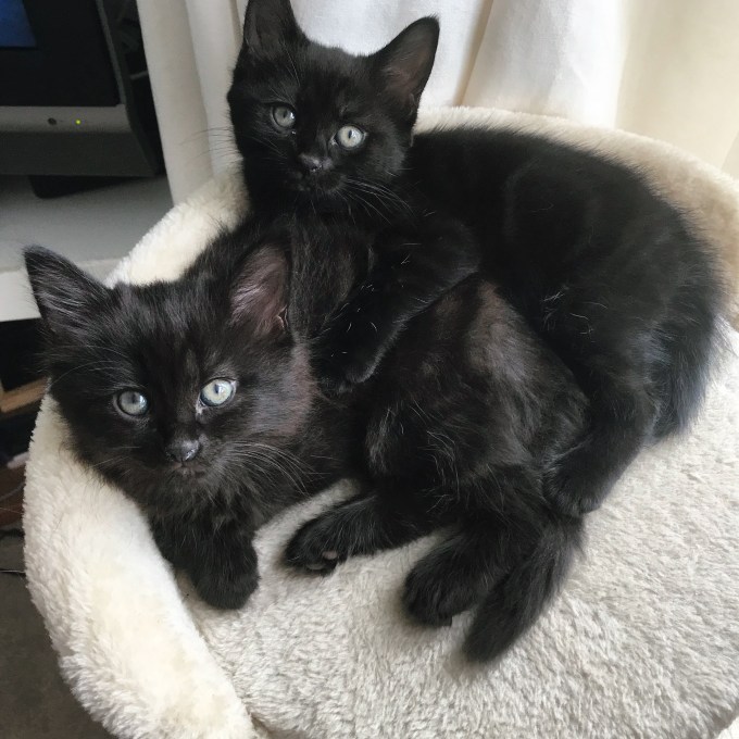 55A1ABCE-7DA8-4141-AD46-F6A3F7FAD3BA