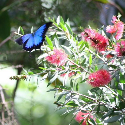 72219_467657253120_4758851_n