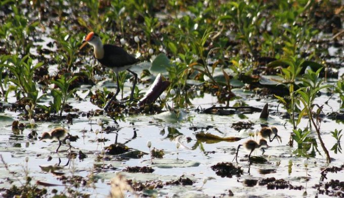 72740_467660333120_4336487_n