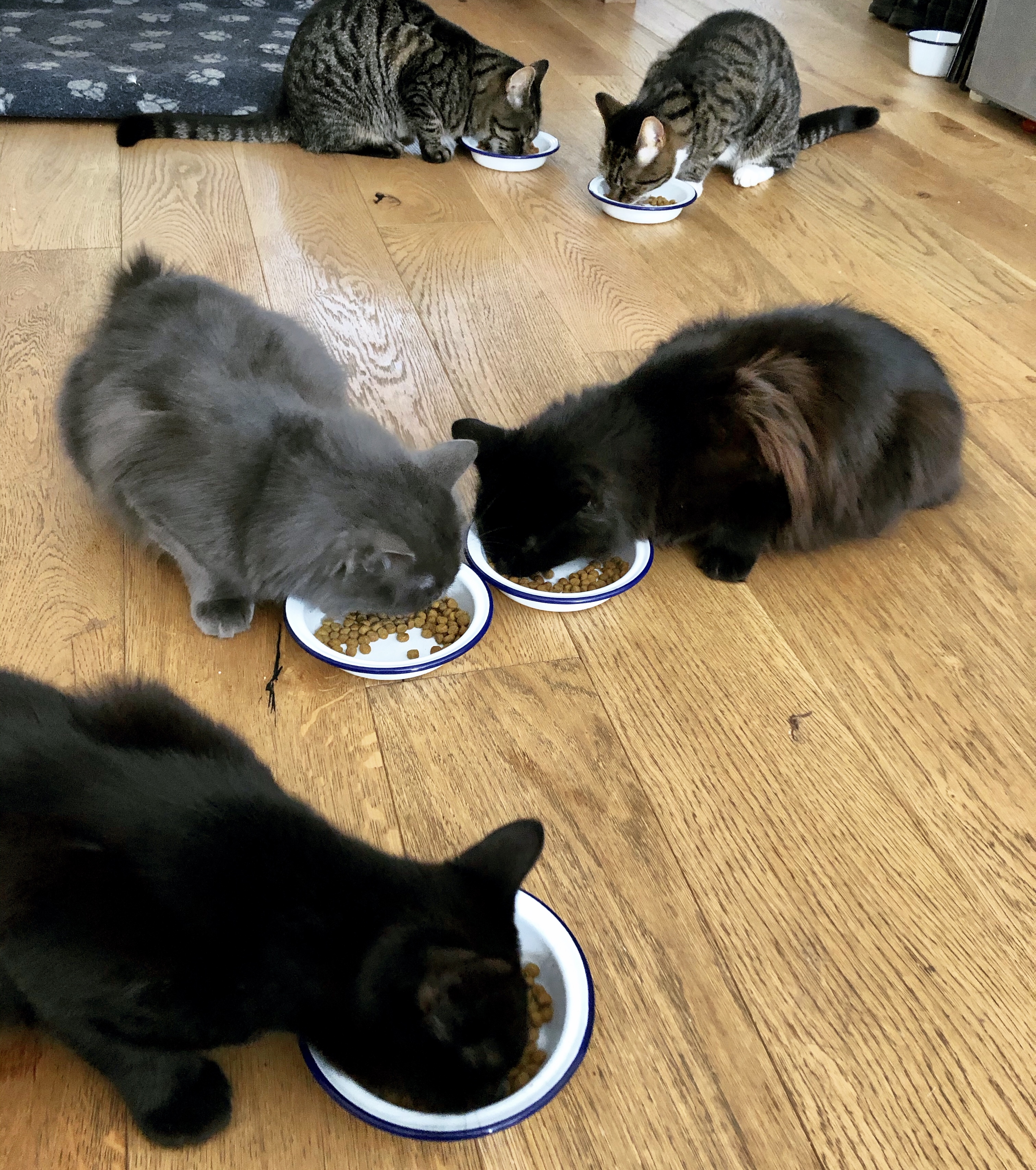 BD0B56DF-F6A7-47C5-A78B-B4C1204C0370