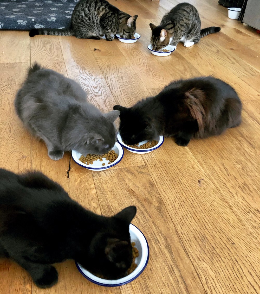 BD0B56DF-F6A7-47C5-A78B-B4C1204C0370