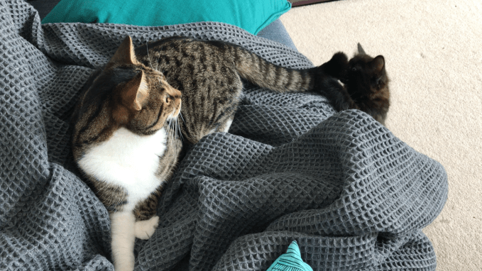 Screenshot 2020-09-21 at 16.30.00