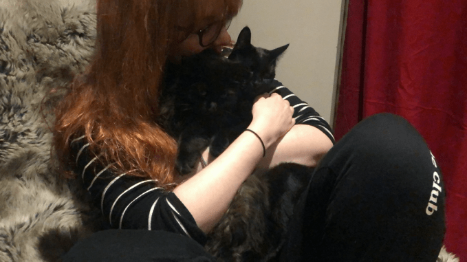 Screenshot 2020-09-21 at 16.31.46