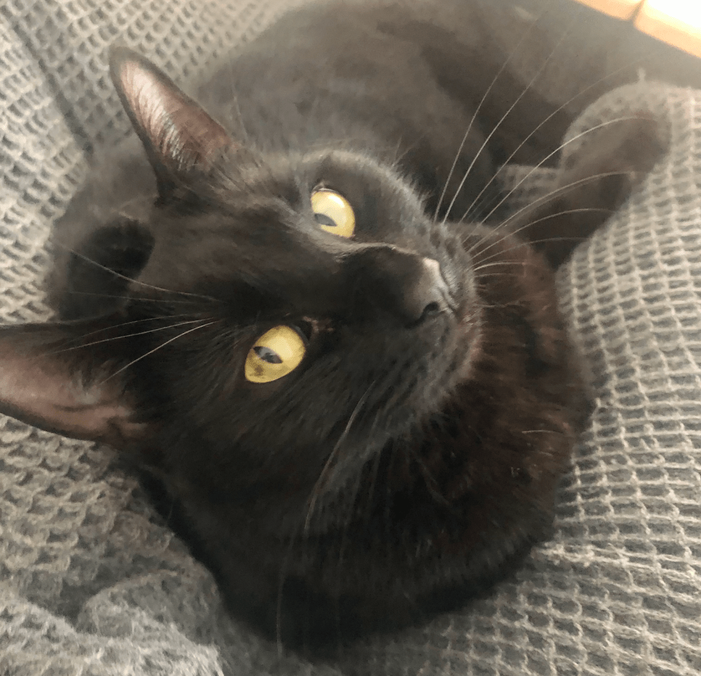 Screenshot 2021-06-18 at 20.08.42