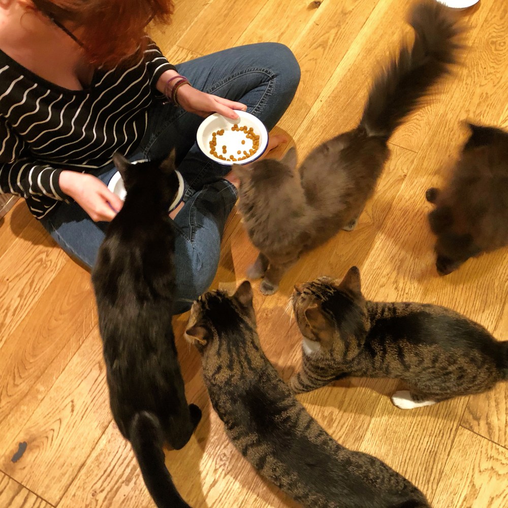 29D7902E-3E8F-4F39-B5A1-62F98FACB247