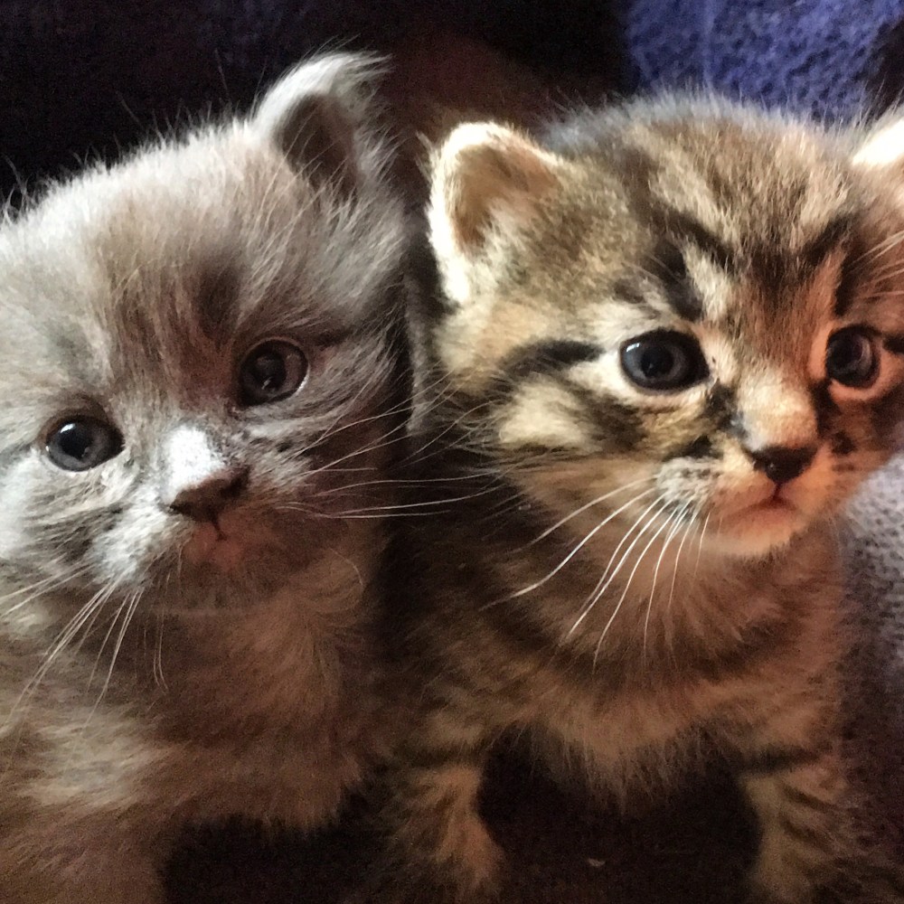 E00EE9B9-5D1C-450F-A93E-65D7E66C8FF5