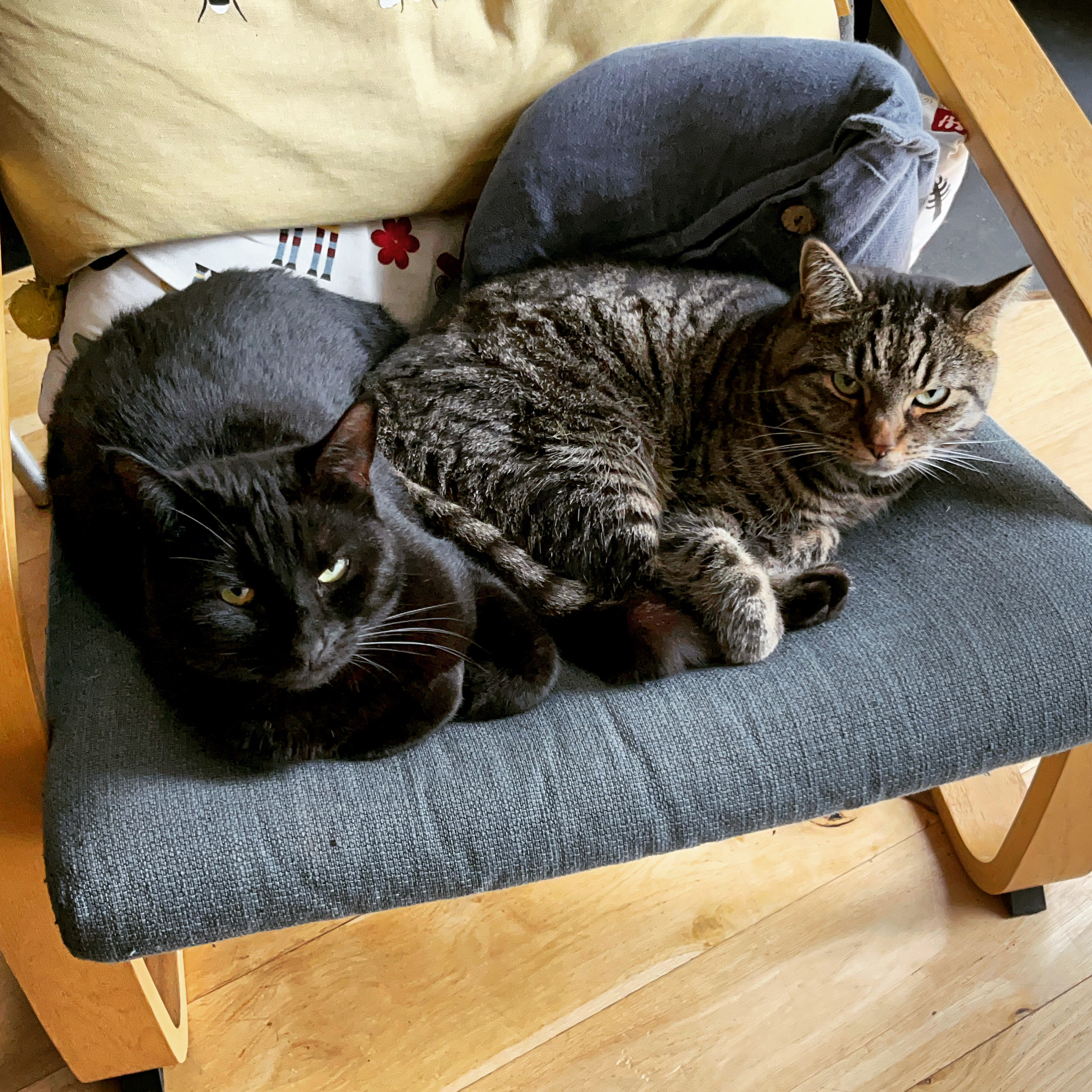 1FDB9730-4B89-4425-8D96-BB85F50E286E